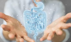microplásticos en el microbioma intestinal