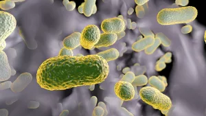 resistencia de la superbacteria hospitalaria Acinetobacter baumannii