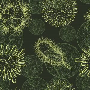 Bacterias hospitalarias resistentes a medicamentos