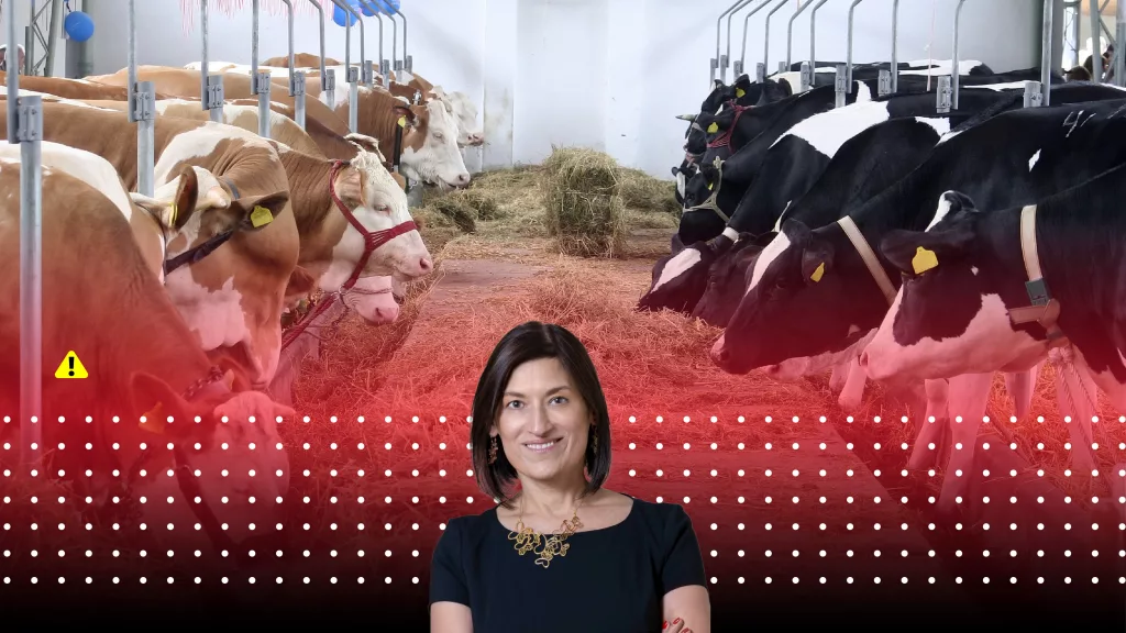 El 60% de las infecciones que afectan a las personas tienen origen animal